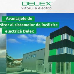Avantajele de a fi revânzător al sistemelor de încălzire electrică Delex -img